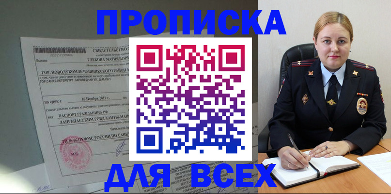 прописка поиск в Бердске